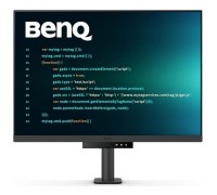Монітор BenQ RD280UA METALLIC GREY