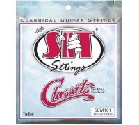Струни для гітари SIT Strings SCM101 (30-40) (226930)