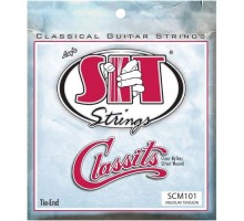 Струни для гітари SIT Strings SCM101 (30-40) (226930)