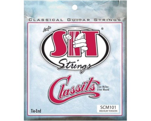 Струни для гітари SIT Strings SCM101 (30-40) (226930)