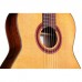 Гітара класична Cordoba C7 CD