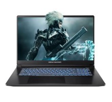Ноутбук Dream Machines RT5050-17 (RT5050-17UA24)