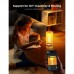 Настільна лампа Govee H6022 Table Lamp 2, RGBICWW, WI-FI/Bluetooth, білий (H60223D1)