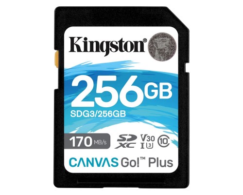 Карта пам'яті Kingston 256GB SDXC class 10 UHS-I U3 Canvas Go Plus (SDG3/256GB)