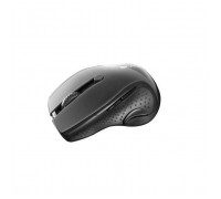 Мишка Canyon CNS-CMSW01B Wireless Black (CNS-CMSW01B)