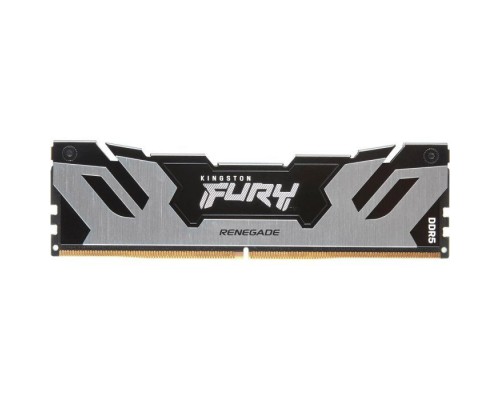 Модуль пам'яті для комп'ютера DDR5 32GB 6400 MHz Renegade Silver XMP Kingston Fury (ex.HyperX) (KF564C32RS-32)