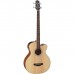 Бас-гітара акустична Takamine GB30CE NAT (234764)