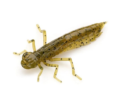 Силікон рибальський FishUP Dragonfly 1.2" 074 - Green Pumpkin Seed (10шт/уп) (1864.04.86)