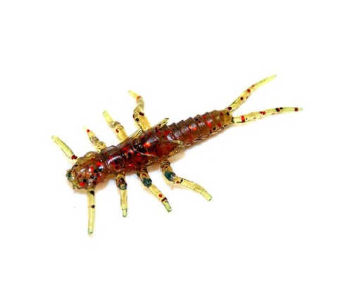 Силікон рибальський FishUP Stonefly 0.75" 019 - Motor Oil/Red (12шт/уп) (1864.14.69)