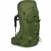 Рюкзак туристичний Osprey Aether 65 garlic mustard green - L/XL - зелений (009.2401)