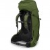 Рюкзак туристичний Osprey Aether 65 garlic mustard green - L/XL - зелений (009.2401)