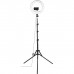 Набір блогера Hama Smartphone Tripod Steady-120 V2, 185см, Bluetooth, LED ring (00004659)