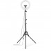 Набір блогера Hama Smartphone Tripod Steady-120 V2, 185см, Bluetooth, LED ring (00004659)