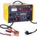 Пуско зарядний пристрій PULSO BC-40155 12&24V/45A/Start-100A/20-300AHR (BC-40155)