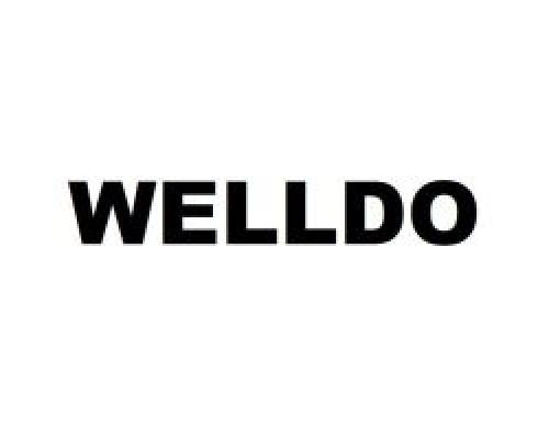 Тонер Toshiba e-Studio 163,T1640/T1810/T2450/T2505/T2507/T2309, 67 Welldo (WDTT1640U)