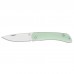 Ніж CJRB Ria SW G10 Mint Green (J1917-NTG)