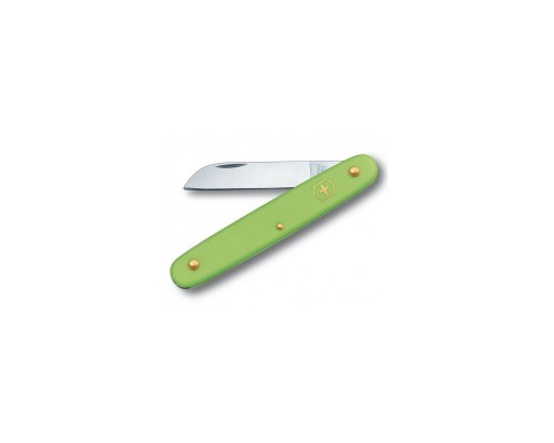Ніж Victorinox Floral Matt Green Blister (3.9050.47B1)
