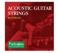 Струни для гітари Parksons Acoustic L (12-52) (S1252)