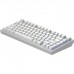 Клавіатура Dark Project ALU81 Terra Nova PBT RGB Mech G3MS Moonstone White (DPKB_NOVA_81_ANSI_WHITE_UA)