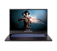 Ноутбук Dream Machines RG2050-17 (RG2050-17UA31)