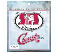 Струни для гітари SIT Strings SCH102B (30-44) (226934)