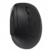 Мишка Canyon MW-25 LED Silent Wireless/Bluetooth Black (CNS-CMSW25)