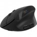 Мишка Canyon MW-25 LED Silent Wireless/Bluetooth Black (CNS-CMSW25)