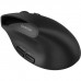 Мишка Canyon MW-25 LED Silent Wireless/Bluetooth Black (CNS-CMSW25)