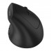 Мишка Canyon MW-25 LED Silent Wireless/Bluetooth Black (CNS-CMSW25)