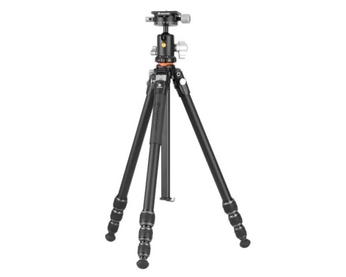 Штатив Vanguard VEO 5 234AB-110S (DAS303305)