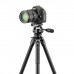 Штатив Vanguard VEO 5 264AO-28 (DAS303309)