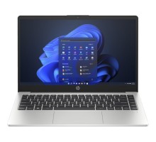 Ноутбук HP 245 G10 (A23L1EA)