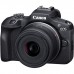 Цифровий фотоапарат Canon EOS R100 + 18-45 IS STM + 75-300 IS STM (6052C121)