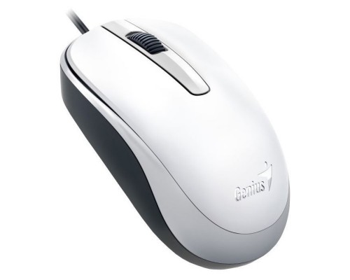 Мишка Genius DX-120 USB White (31010105102)