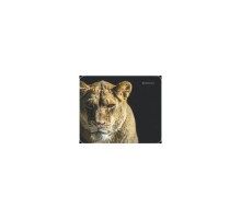 Килимок для мишки Defender Wild Animals (50803)