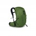 Рюкзак туристичний Osprey Talon 22 green belt/black - S/M - зелений (009.3698)