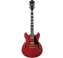 Гітара напівакустична Ibanez AS93FM-TCD (232550)