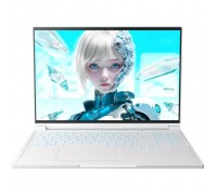 Ноутбук Thunderobot RS16 (RS16-i7136HX56C1Q180RC)