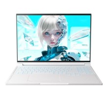 Ноутбук Thunderobot RS16 (RS16-i7136HX56C1Q180RC)