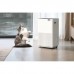 Осушувач повітря Xiaomi NWT Smart Dehumidifier 20L White (VD20H-FA5A(WH))