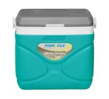 Автохолодильник Pinnacle 30 л, Prudence, 12/240V Бирюзовый (8906053362008TURQUOISE)