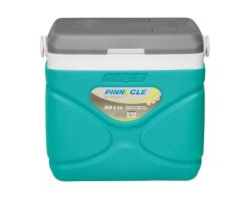 Автохолодильник Pinnacle 30 л, Prudence, 12/240V Бирюзовый (8906053362008TURQUOISE)