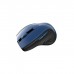 Мишка Canyon CNS-CMSW01BL Wireless Black/Blue (CNS-CMSW01BL)