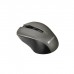 Мишка Canyon MW-1 Wireless Gray (CNE-CMSW1G)