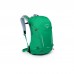 Рюкзак туристичний Osprey Hikelite 26 escapade green O/S (009.3352)