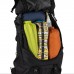 Рюкзак туристичний Osprey Kestrel 68 bonsai green L/XL (009.3304)