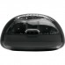 Навушники JBL Tune Flex 2 Ghost Black (JBLTFLEX2GBLK)