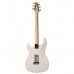 Електрогітара PRS Silver Sky Frost