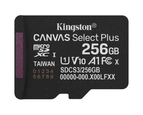 Карта пам'яті Kingston 256GB microSDXC class 10 UHS-I U1 V10 A1 Select Plus (SDCS3/256GBSP)