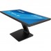 Монітор iiyama T2452MSC-B2
